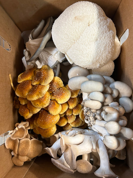 Mushrooms Mix (cultivated and local), Per Lb