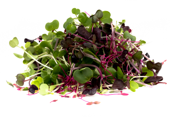Microgreens House Mix (perfect foods, NY), per clam