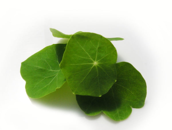 Micro Nasturtium (Local), 2oz