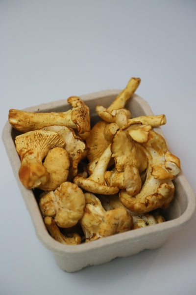 Chanterelles “bouton” Mushrooms (USA), 100g or 1Lb