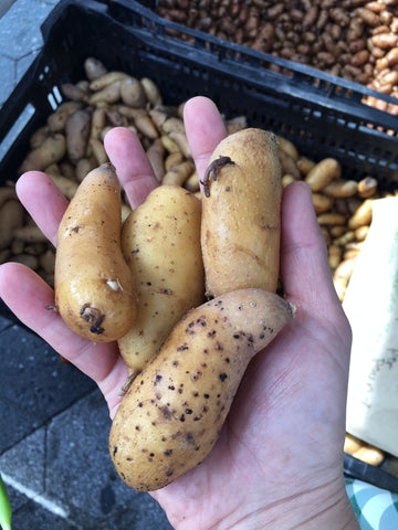 Fingerling Potatoes (Local), Lb