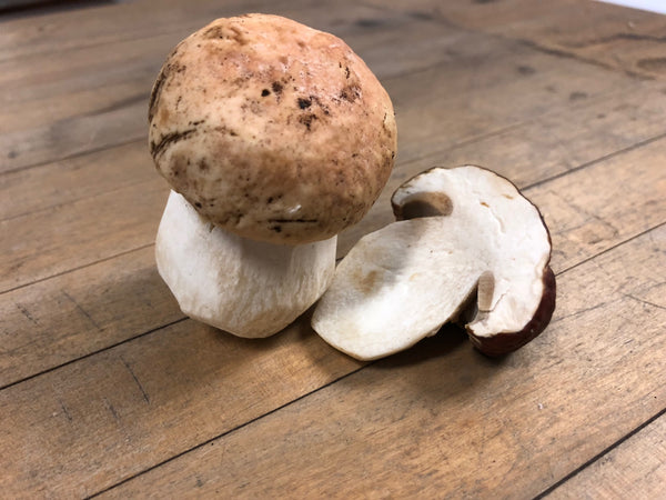 Porcini Mushroom (Oregon), Lb