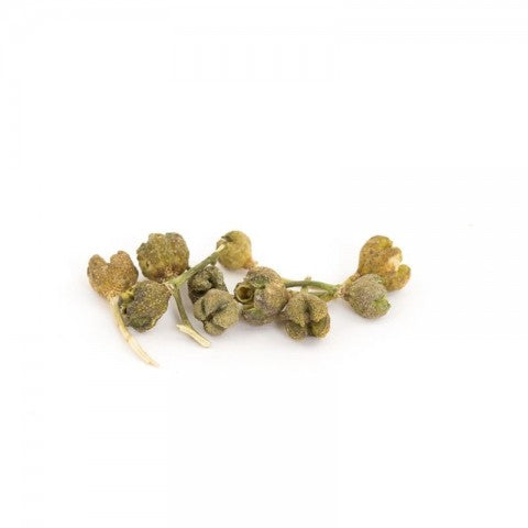 Passion berry (Ethiopia), 250g