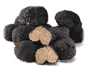 “Burgundy” Tuber uncinatum Truffle (Europe)