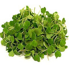 Micro Arugula 4oz