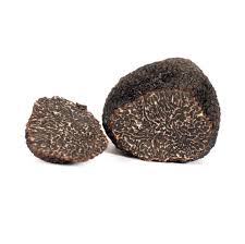 Tuber melonosporum frozen truffle (France)