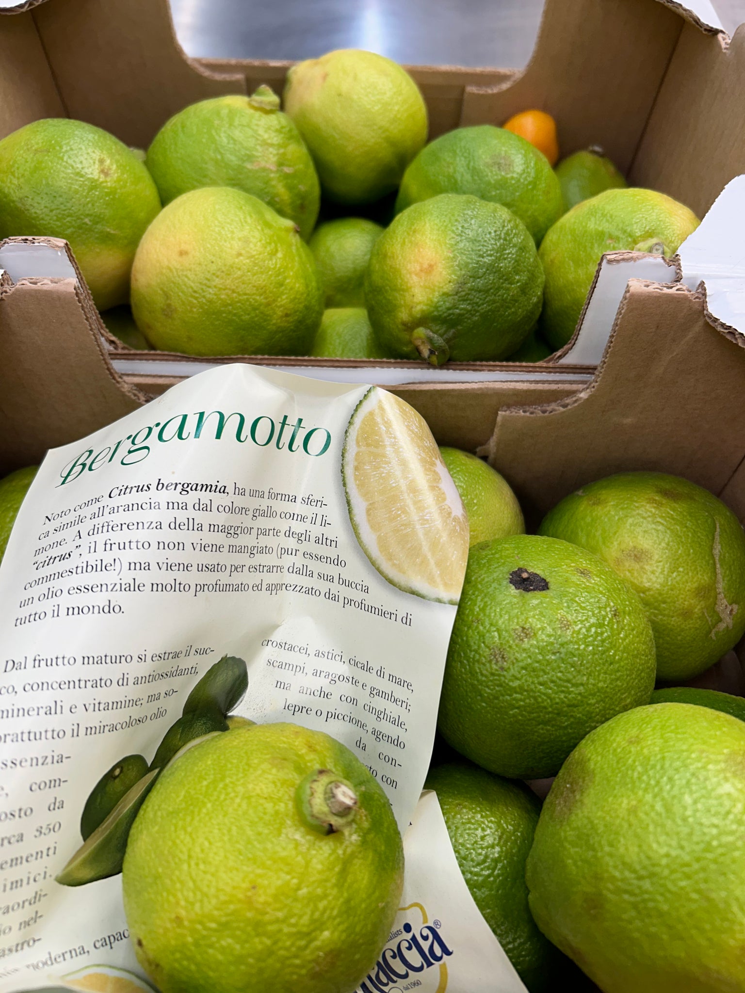 Bergamot (by the lb), Italy