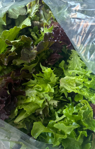 Petite Lettuce mixed color (Local), Lb