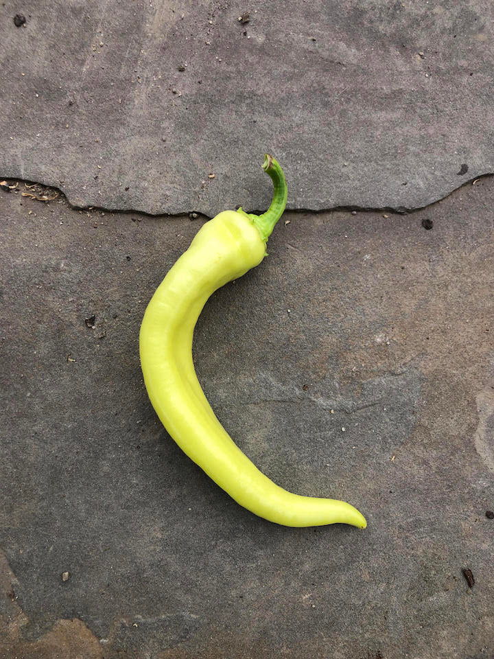 Banana Goddess Pepper (Local), Lb