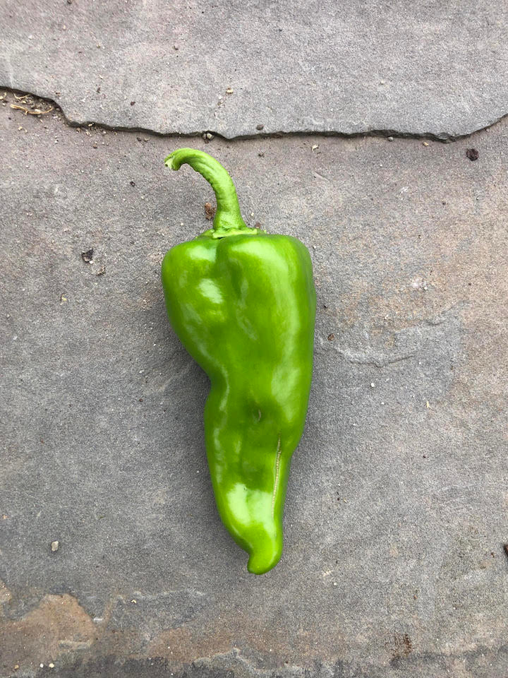 Green Carmen Sweet Pepper (Local), Lb