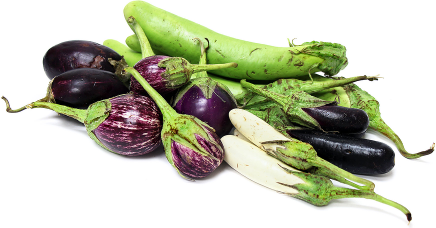 Heirloom Eggplant Mix (Local), Lb