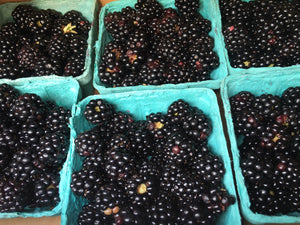 Blackberries (Local), Pint