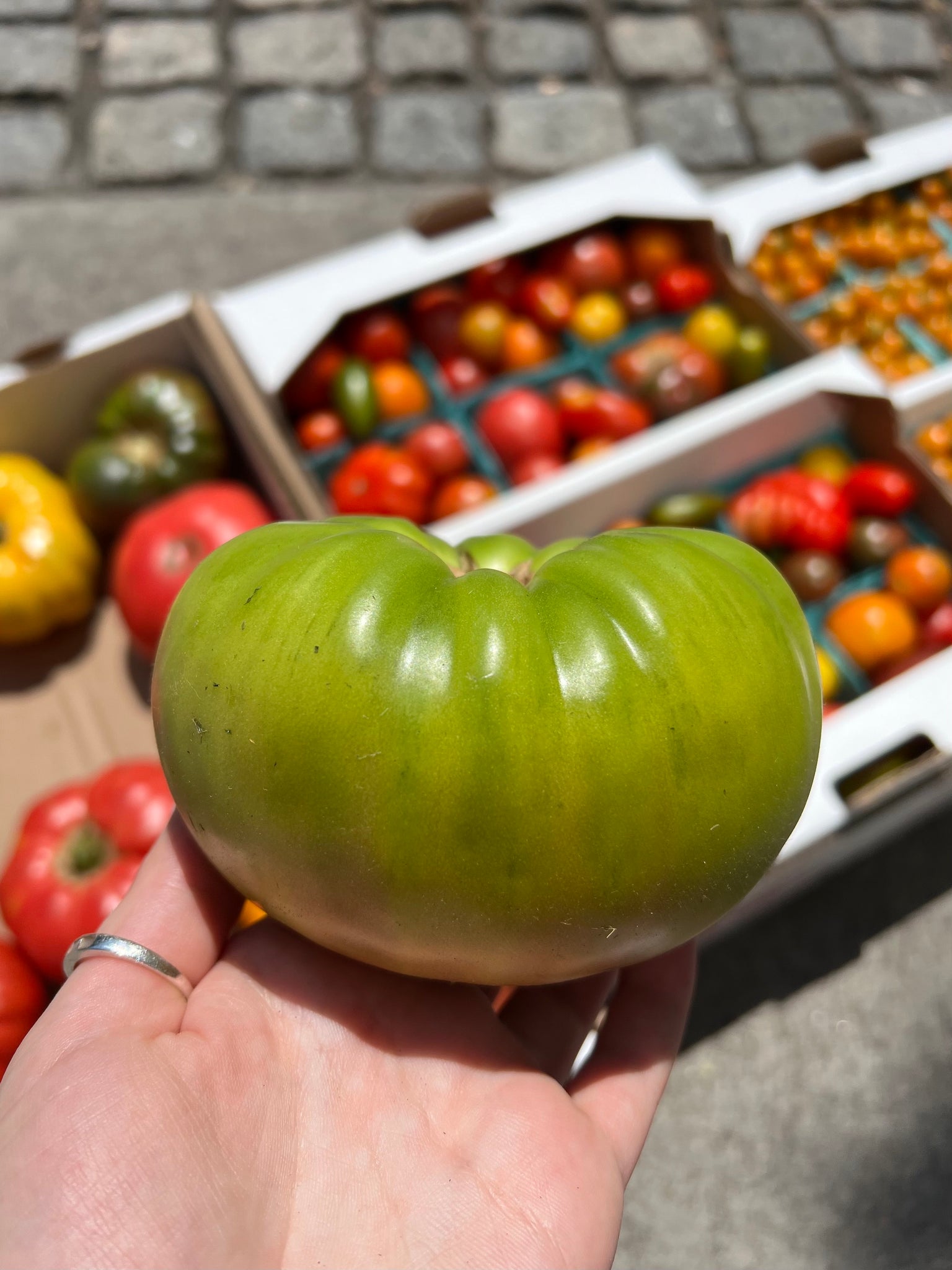 Large Heirloom Tomatoes (Local), Lb