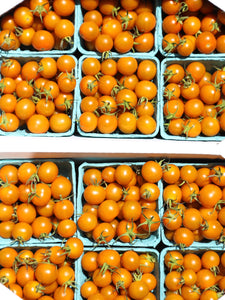 Sungold Tomatoes (Local), Pint