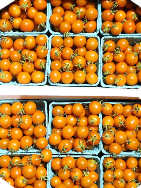 Sungold Tomatoes (Local), Pint