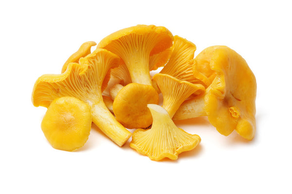 Chanterelles "gold" (Oregon), 4oz or 1Lb