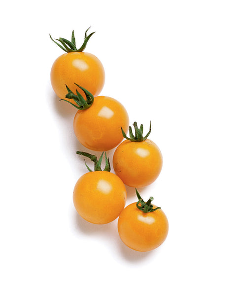 Sungold Tomatoes (Local), Pint