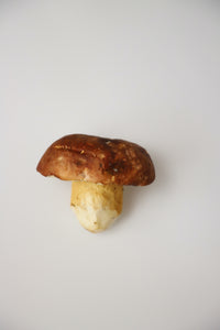 Porcini Mushroom (Oregon), Lb