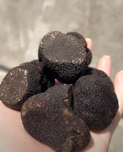 Tuber Melanosporum- Fresh Winter black “Périgord” truffles