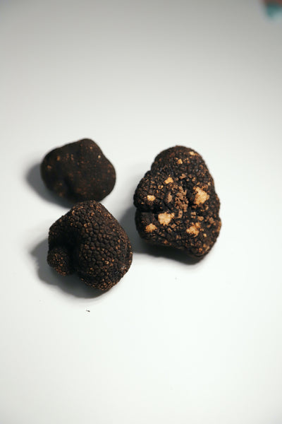 Tuber aestivum truffle or “summer truffle” (Spain), 2oz