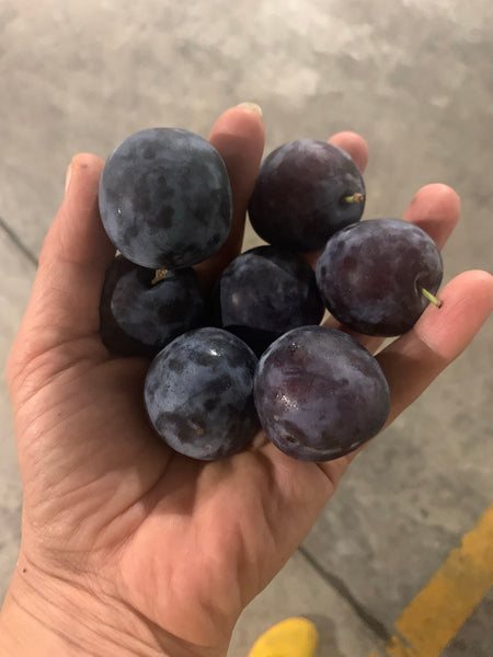 Red Italian plums (Local), Lb
