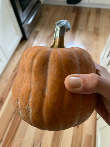 Koginut squash (Local), per piece