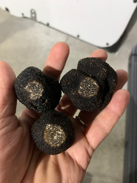 Tuber Melanosporum- Fresh Winter black “Périgord” truffles