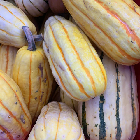 Delicata squash (Local), per piece